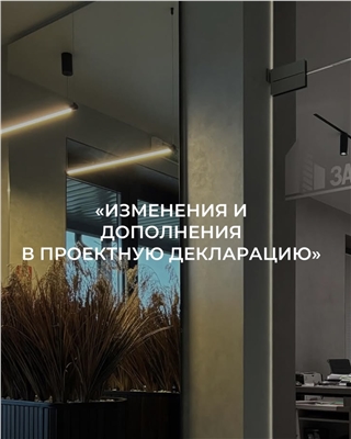 Изменения и дополнения в проектой декларации